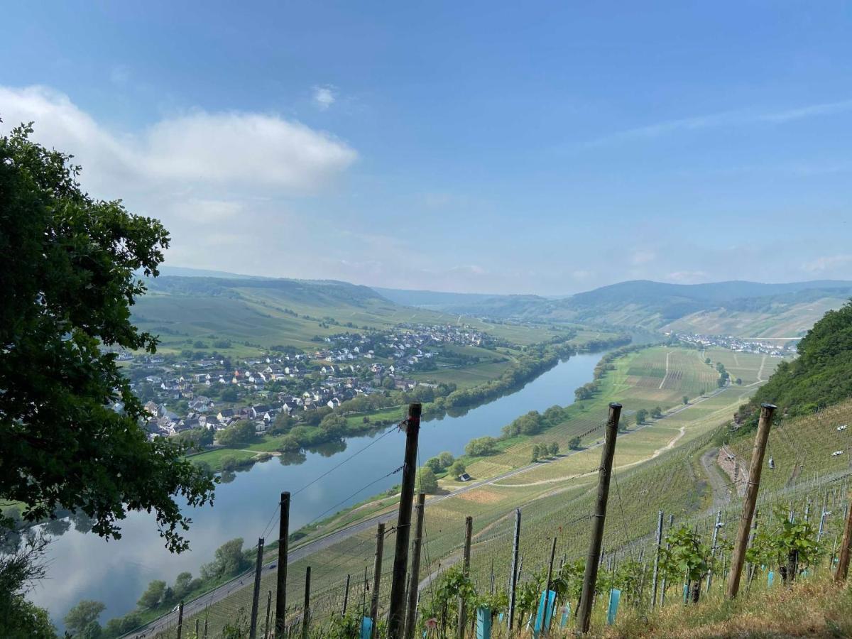 Neu!!! Moselbleibe Winzerhaus Kues Apartment Bernkastel-Kues Ngoại thất bức ảnh